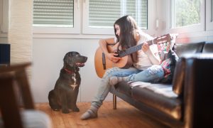 Hund hört musizierendem Mädchen zu